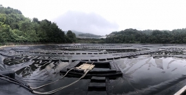 海洋之神·hy590(中国)最新官方网站